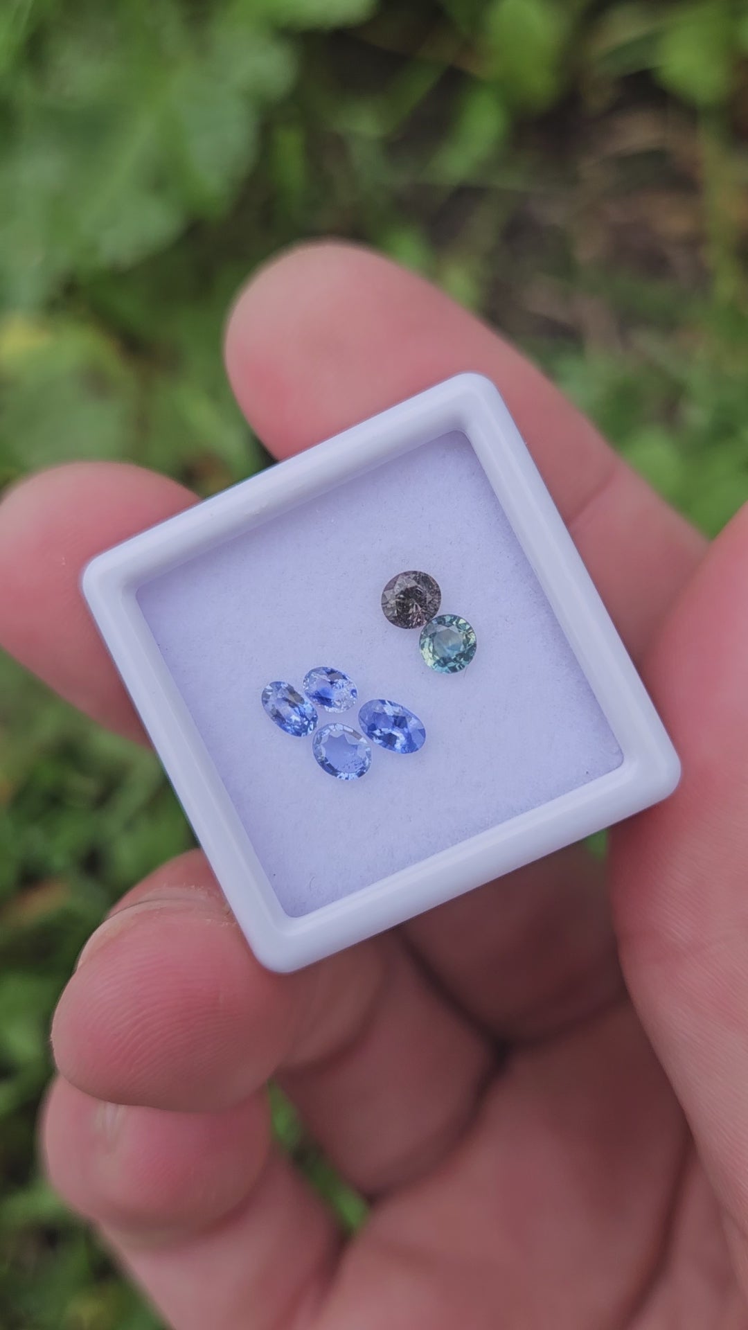 Sapphire/2 facet gem box rounds/ovals