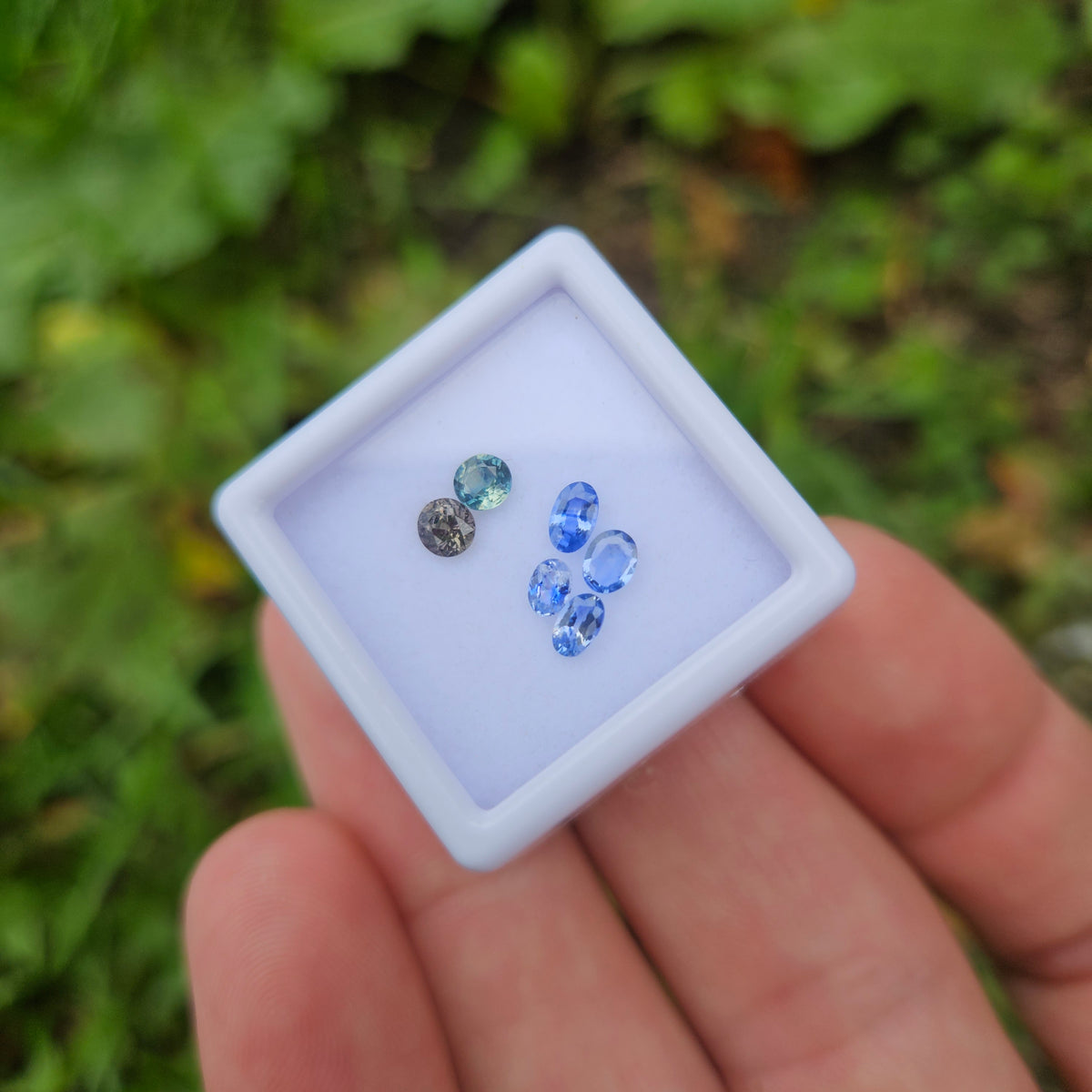 Sapphire/2 facet gem box rounds/ovals
