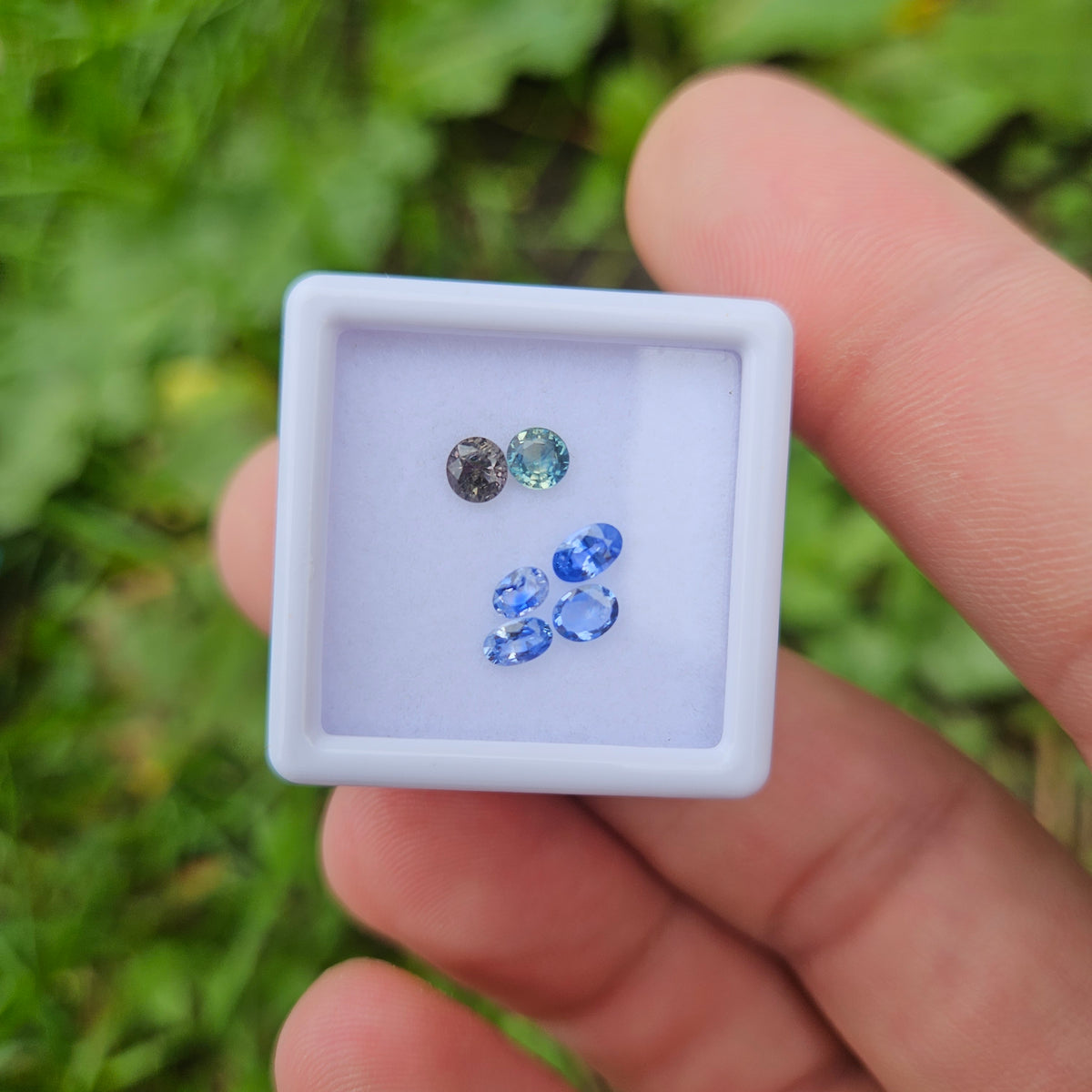 Sapphire/2 facet gem box rounds/ovals