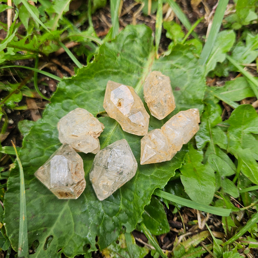 6pc "Fenster"Quartz lot