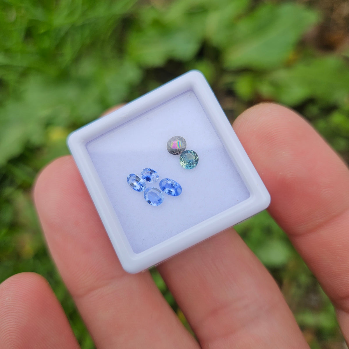 Sapphire/2 facet gem box rounds/ovals