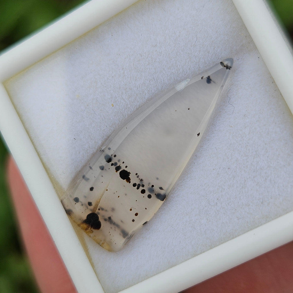 Montana Agate gem case ✨️