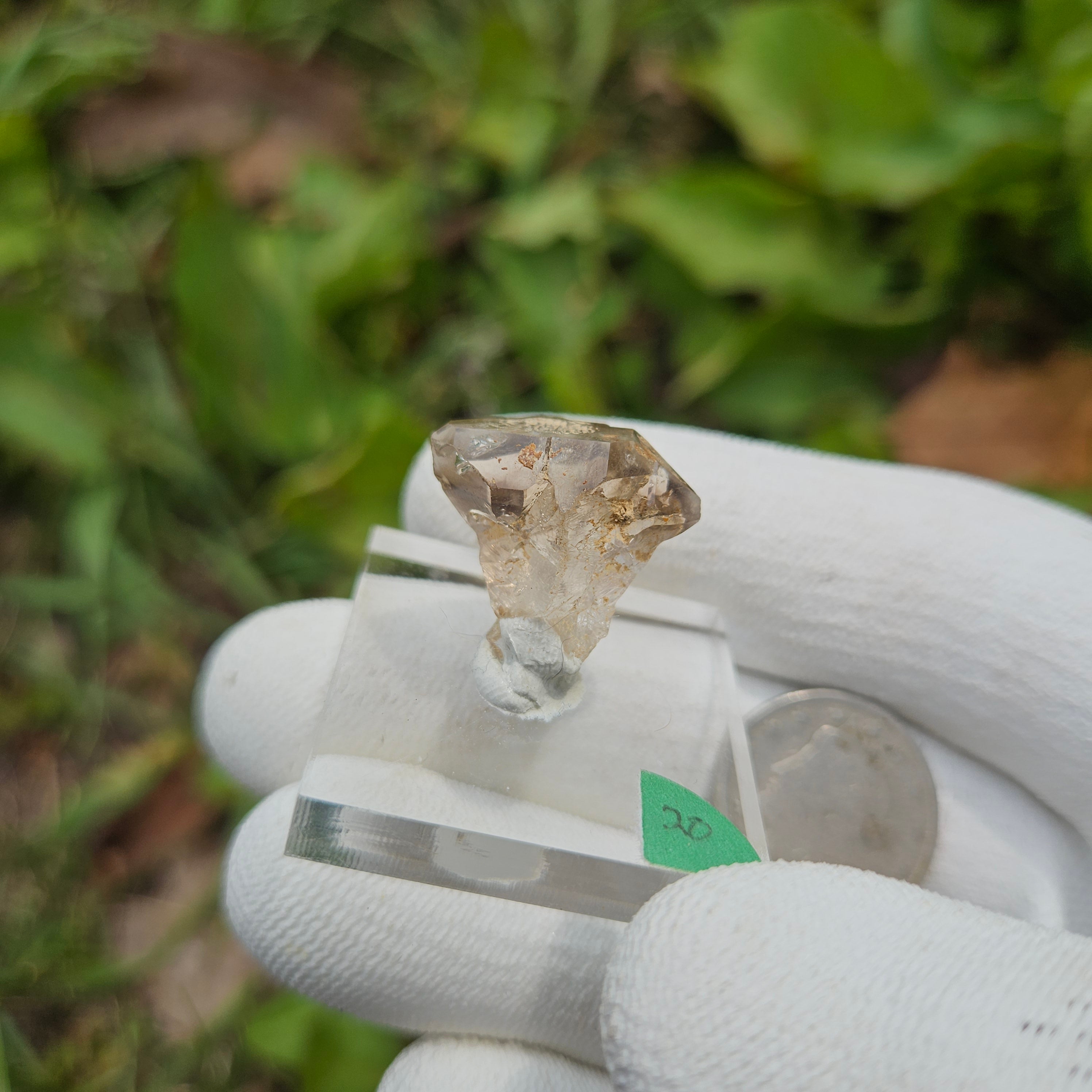 "Hampshirmer" Diamond Smoky Quartz Floater