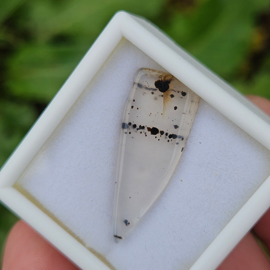 Montana Agate gem case ✨️