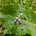 Sterling Silver - Garnet/White topaz Pendant
